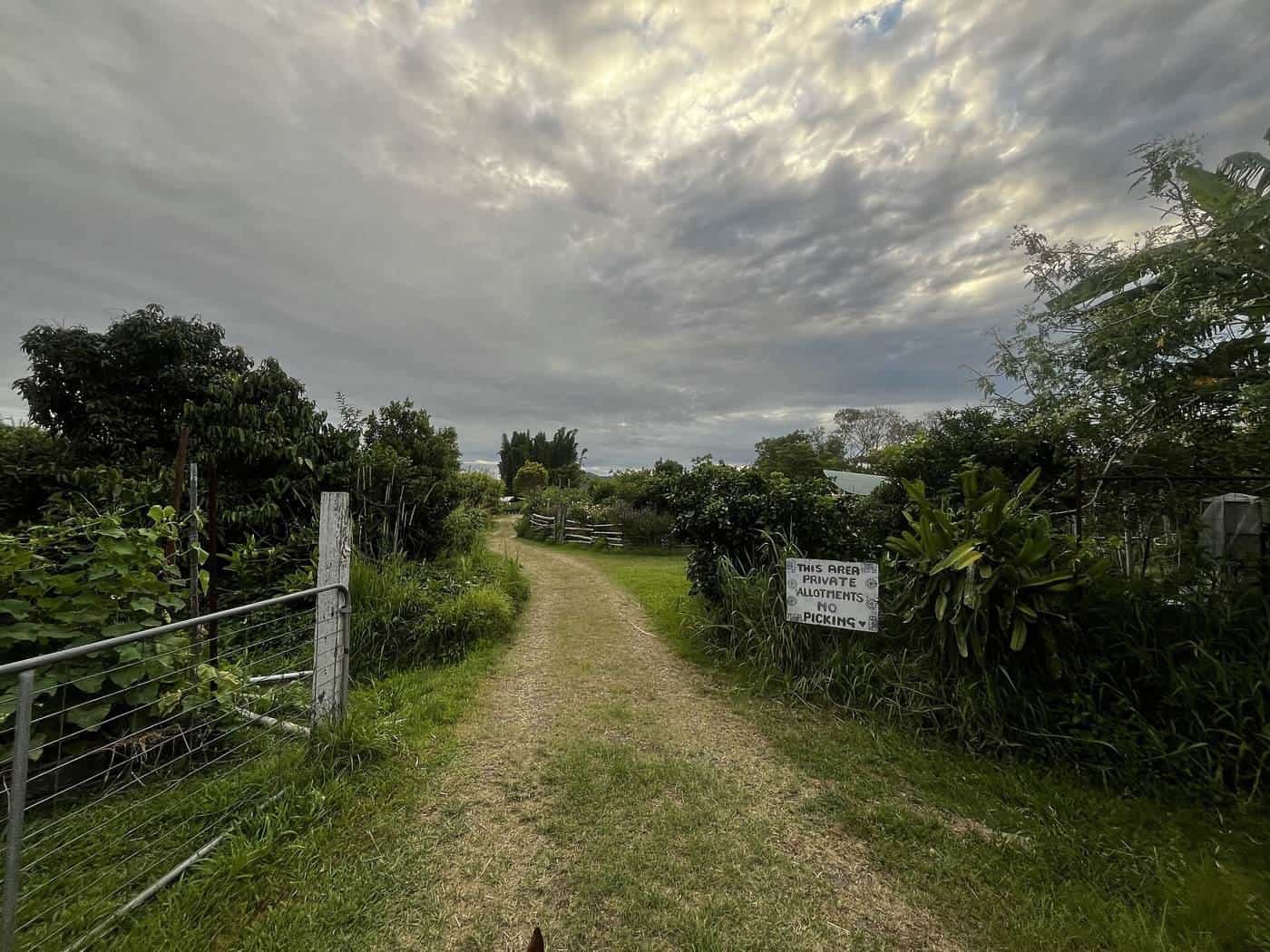 Garden beds at Mullumbimby Community Garden